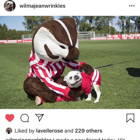 Meet your Posher, Areforzo - Picture 1 of 1